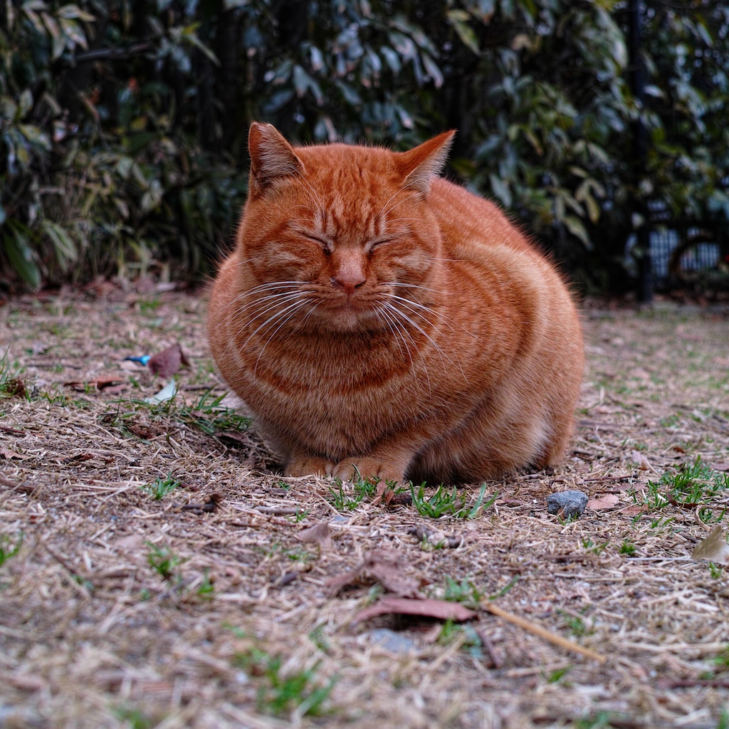 まん丸工房