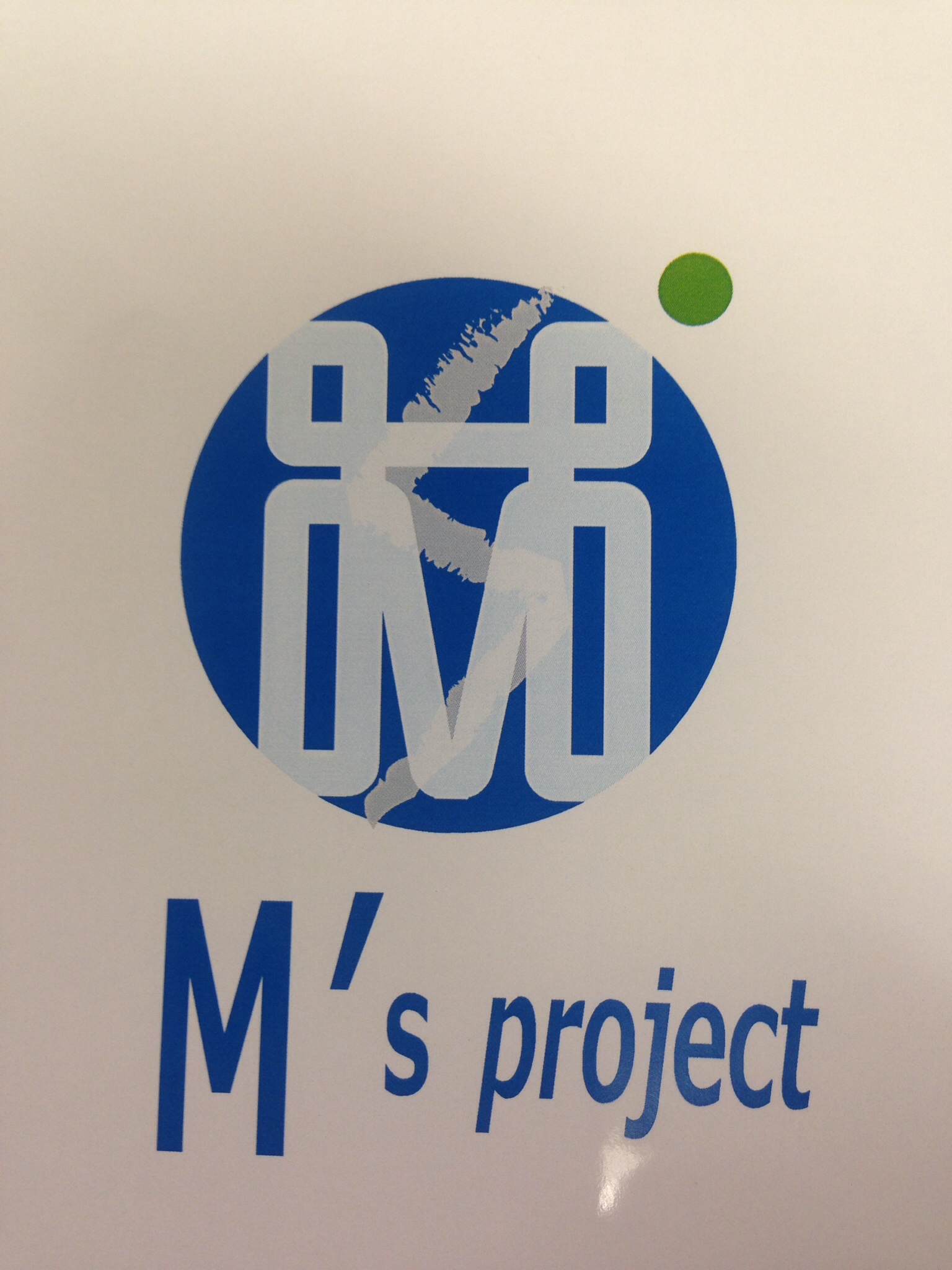 ms-project